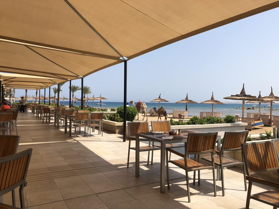 Außenansicht Beach Albatros Resort