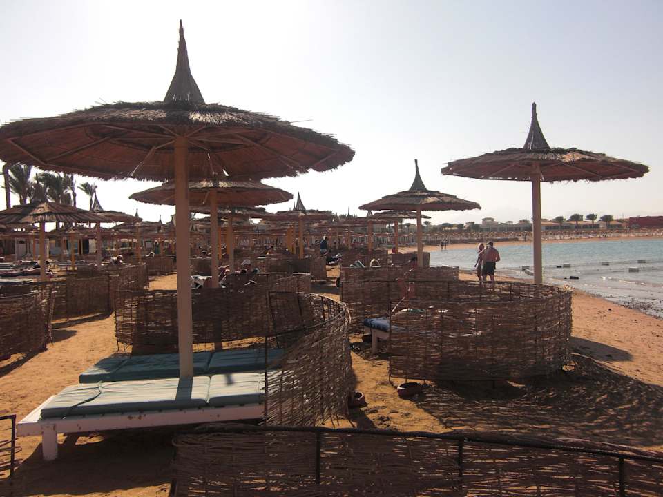 Liegen am Strand Pickalbatros Alf Leila Wa Leila Resort - Neverland Hurghada
