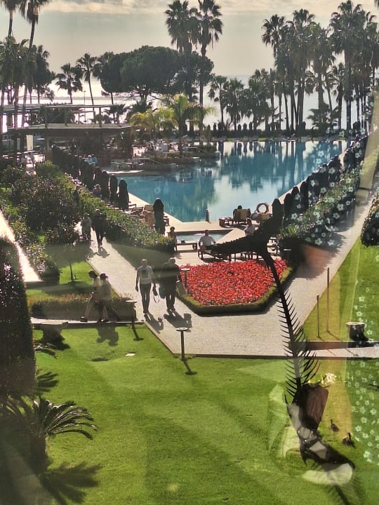 Pool Acanthus Cennet Barut Collection