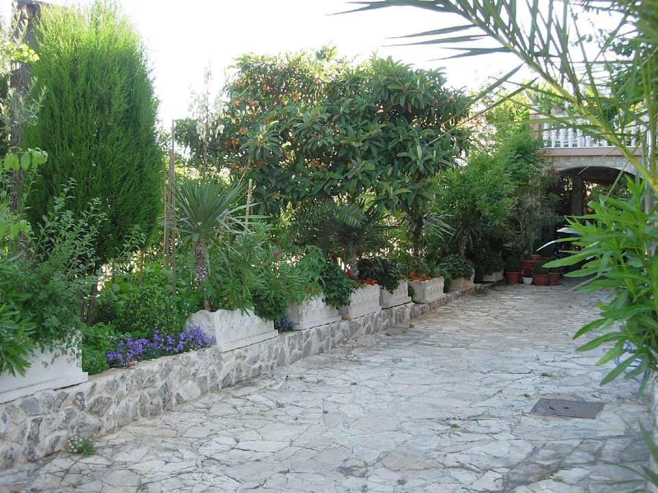 The entrance Apartments Moreta