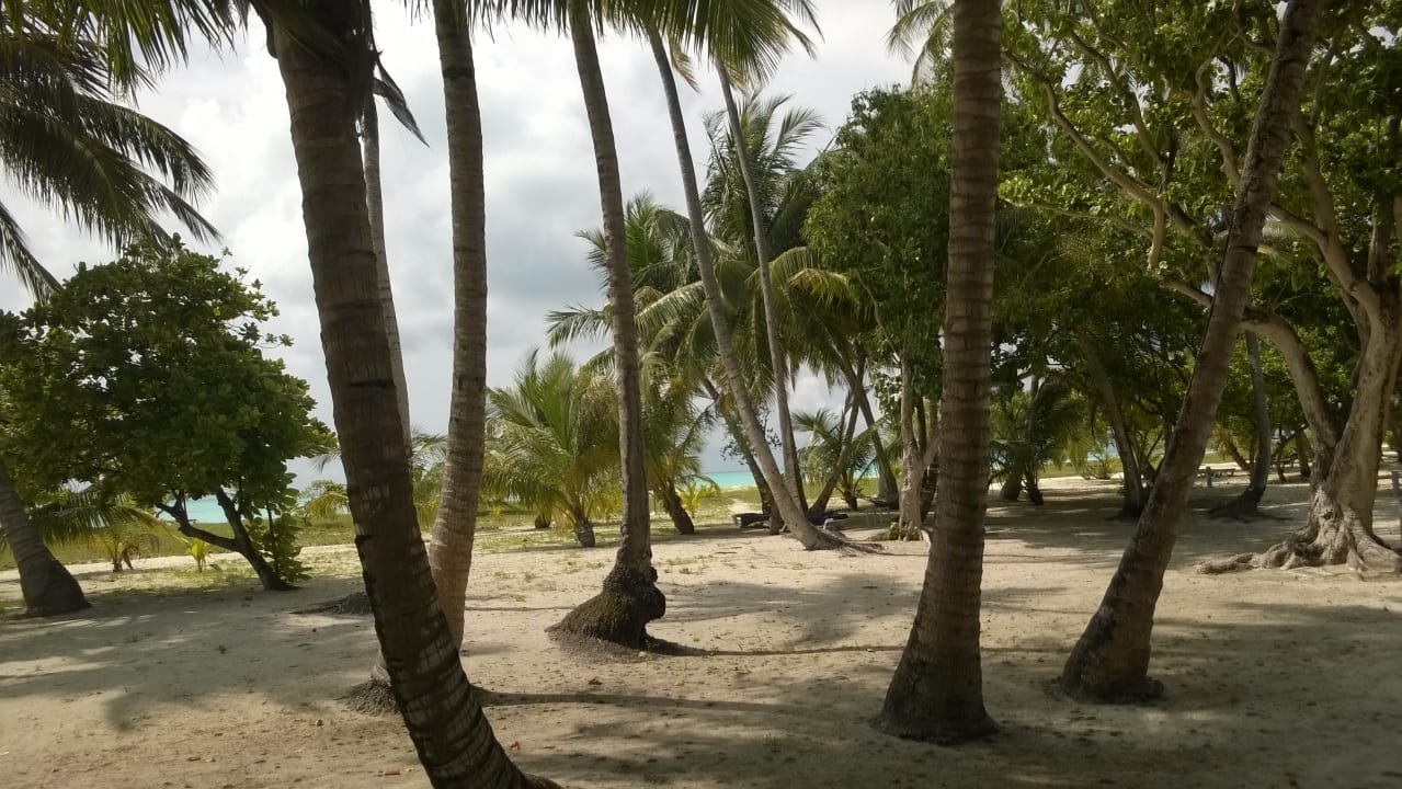Irgendwo auf der Insel... Meeru Maldives Resort Island
