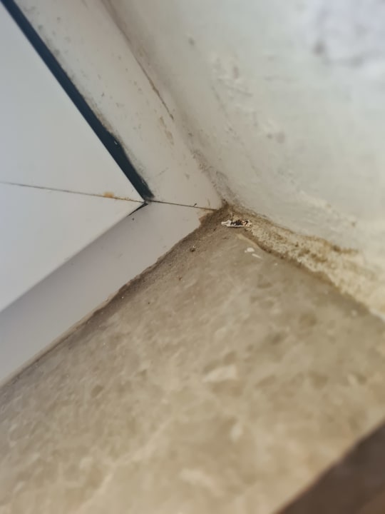 Zimmer Myrina Beach Hotel