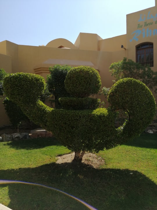 Gartenanlage Three Corners Rihana Resort Deluxe