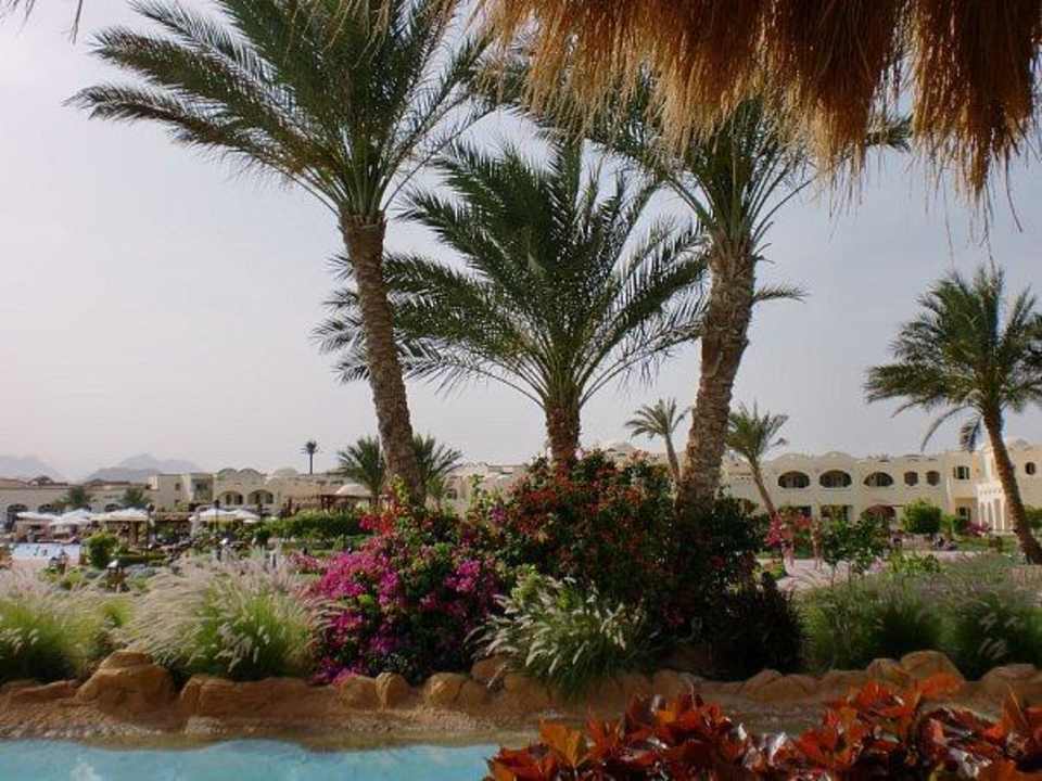 Территория отеля Regency Plaza Aqua Park & Spa