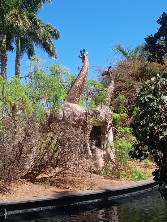 Außenansicht Lopesan Baobab Resort