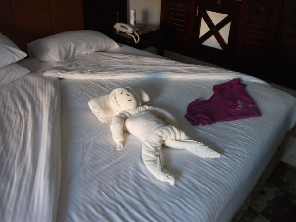 Und wieder eine nette Überraschung Beach Albatros Resort