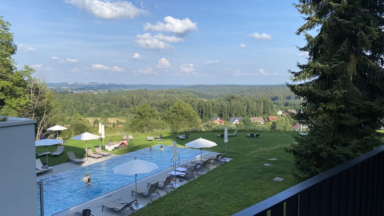 Pool Fritz Lauterbad