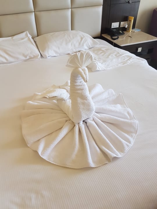 Zimmer Pickalbatros White Beach Resort - Hurghada