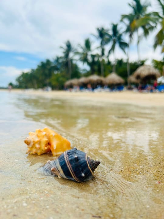 Strand Bahia Principe Grand El Portillo