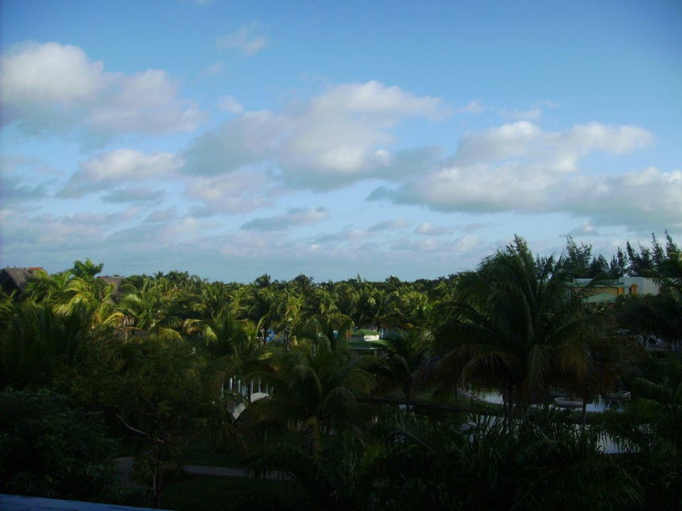 Ausblick vom Zimmer Melia Las Antillas - Adults only