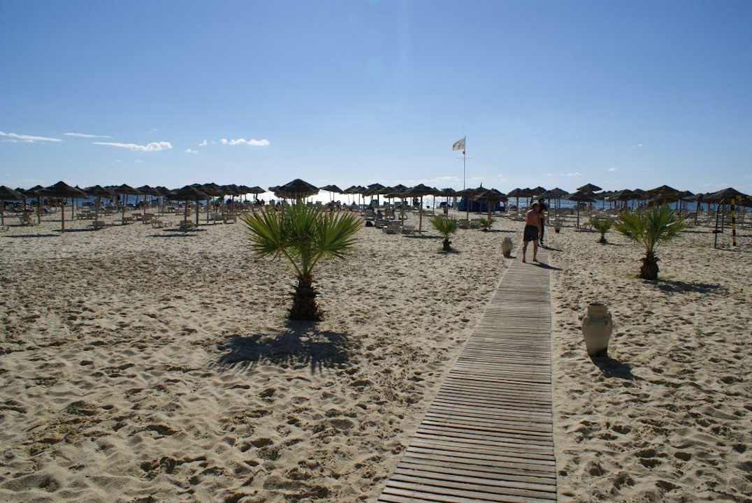 Strand Sentido Phenicia