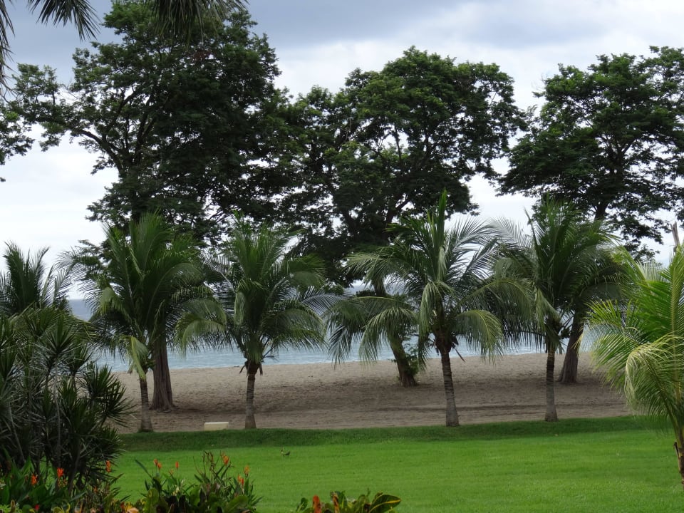 Vom Garten an den Strand Hotel Riu Guanacaste