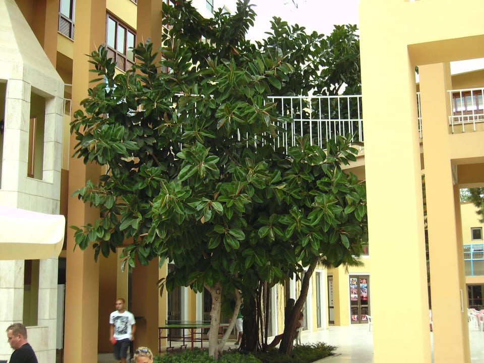 Blickfang Asteria Collection Side