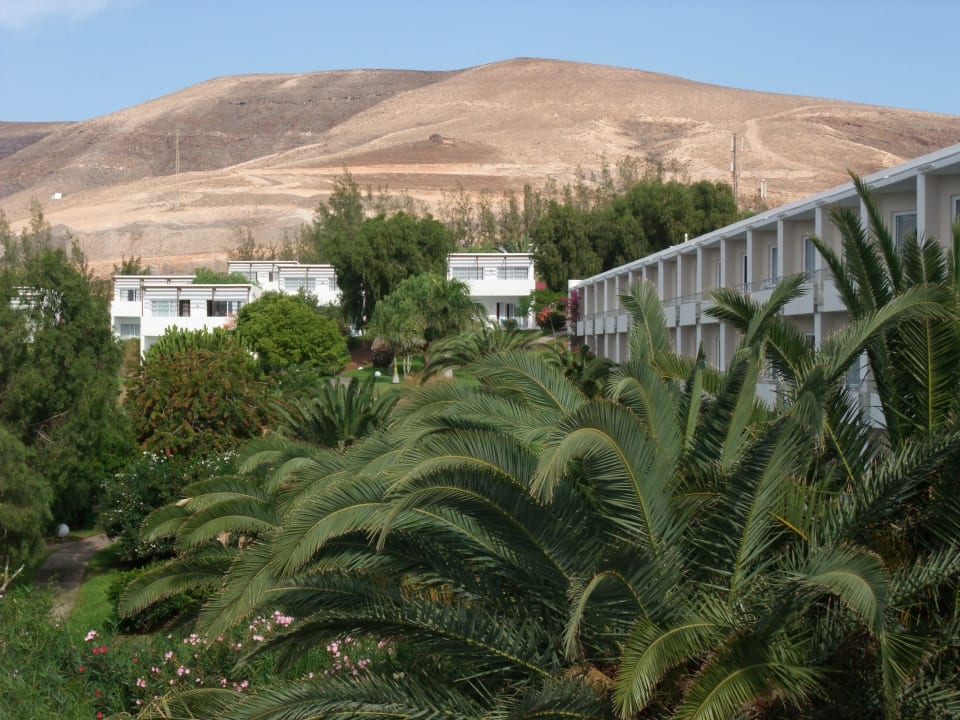 Ausblick zum Berg allsun App.-Hotel Esquinzo Beach