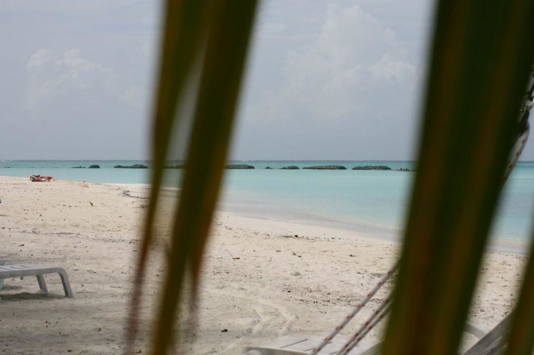 Strand Summer Island Maldives