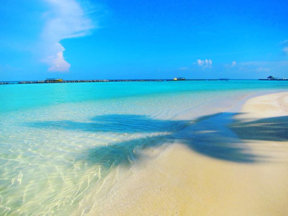 Strand Summer Island Maldives
