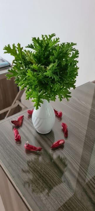 Zimmer Iberostar Waves Mehari Djerba