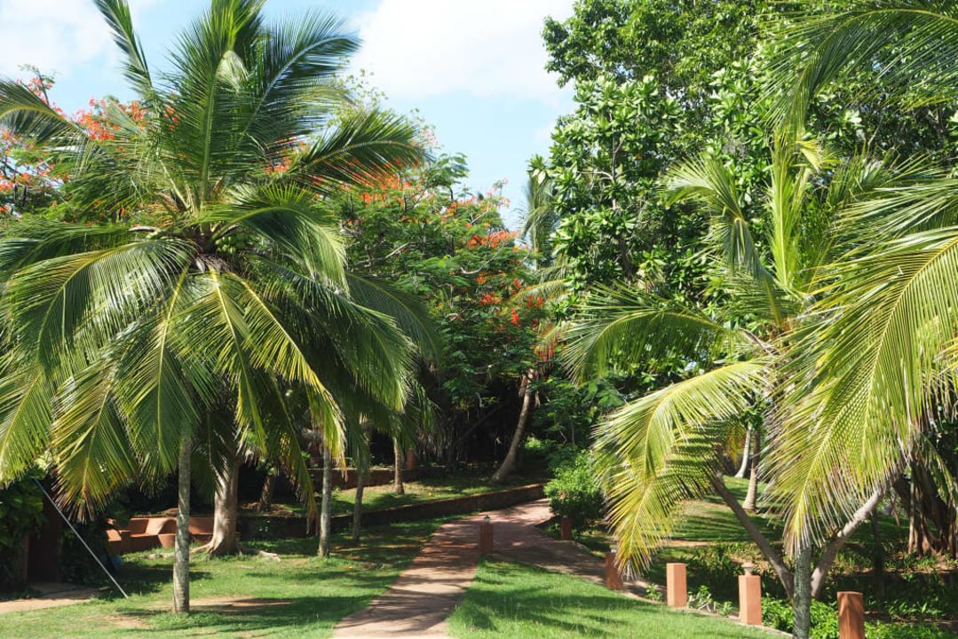 Ogród hotelowy Eva Lanka Hotel