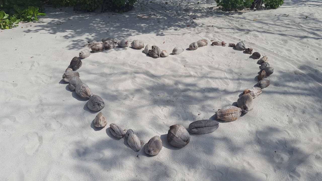 Coconut Heart Kuredu Island Resort & Spa