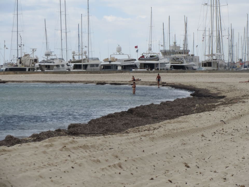 Müllhalde Occidental Marco Polo