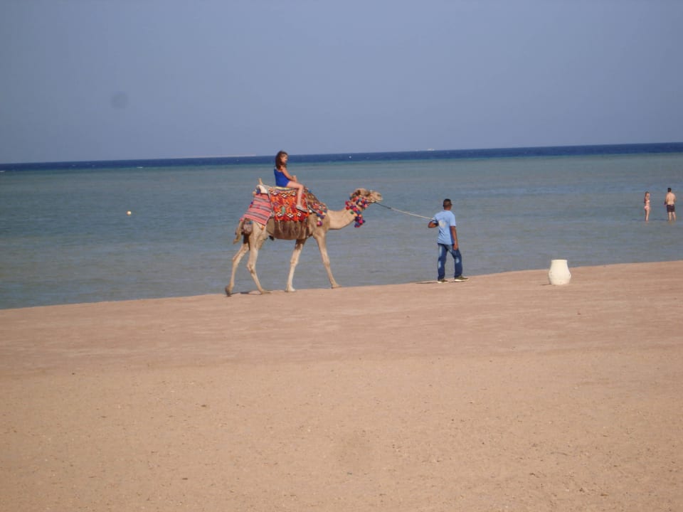 Türkisblaues Meer JAZ Aquamarine Resort