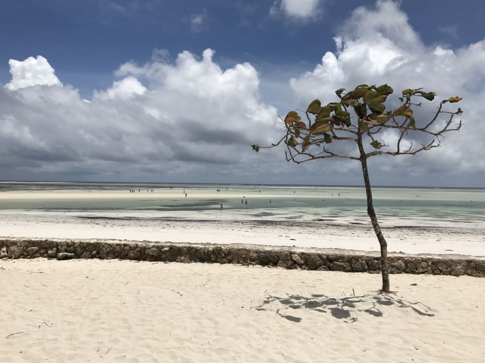 Strand Neptune Pwani Beach Resort & Spa