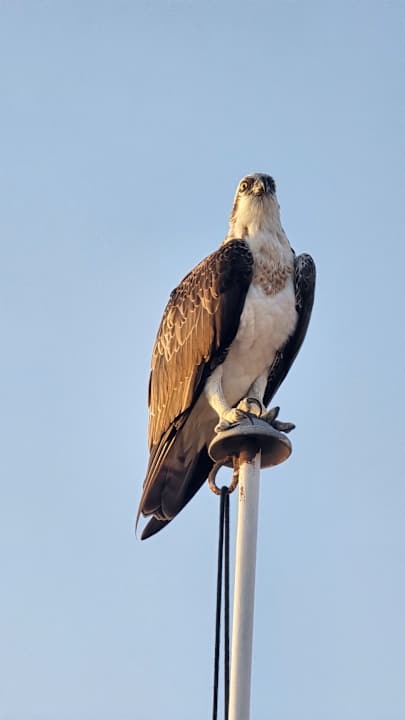 Strand Makadi Spa - Adults only