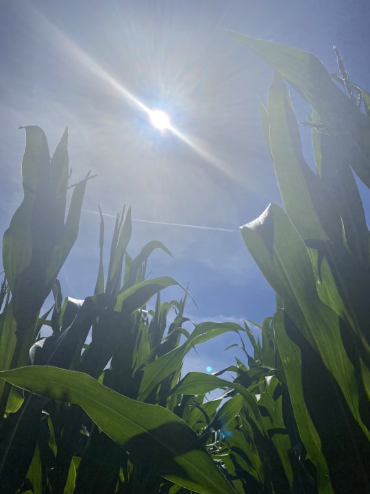 Sonstiges Wiesenberghof