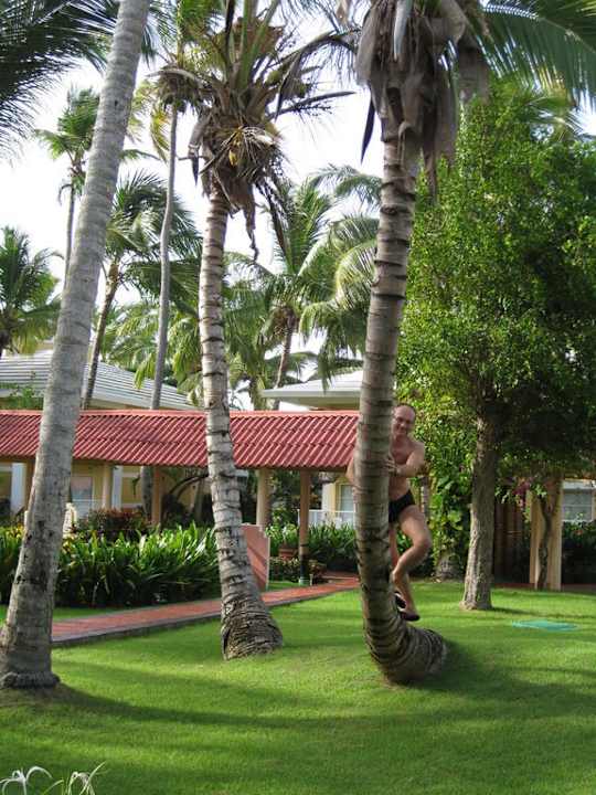 Garten Grand Palladium Select Bávaro Resort & Spa