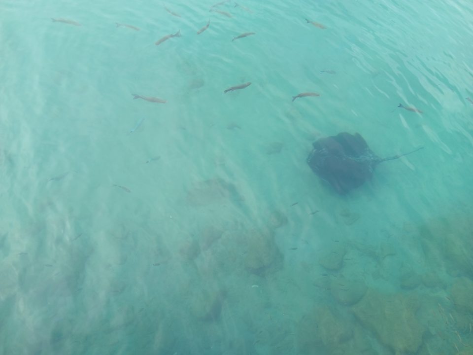 Pool Occidental Jandía Mar