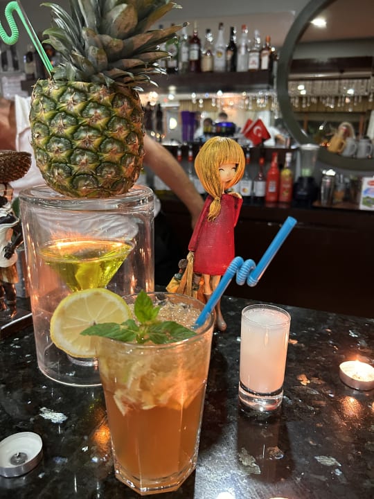 Lobby Hane Family Resort