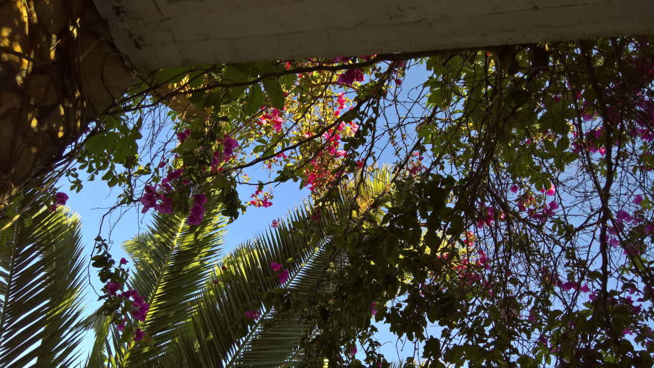 Mal ein anderer Blick von der Terrasse  Ekaterini Hotel