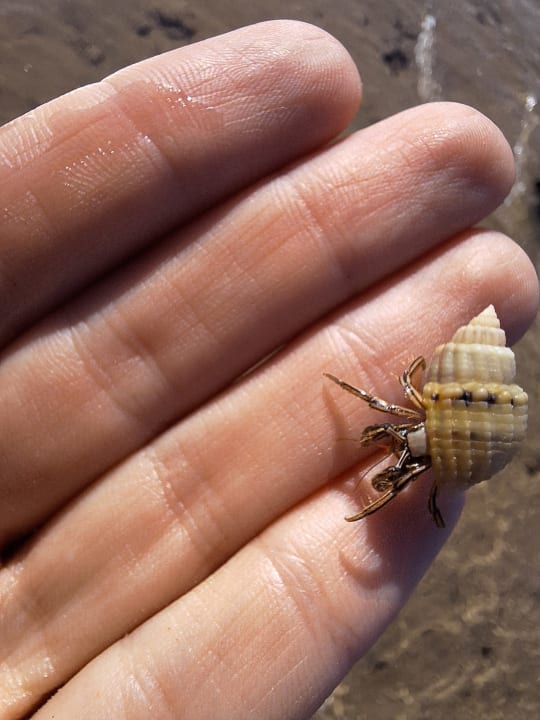 Strand Cleopatra Luxury Resort Makadi Bay