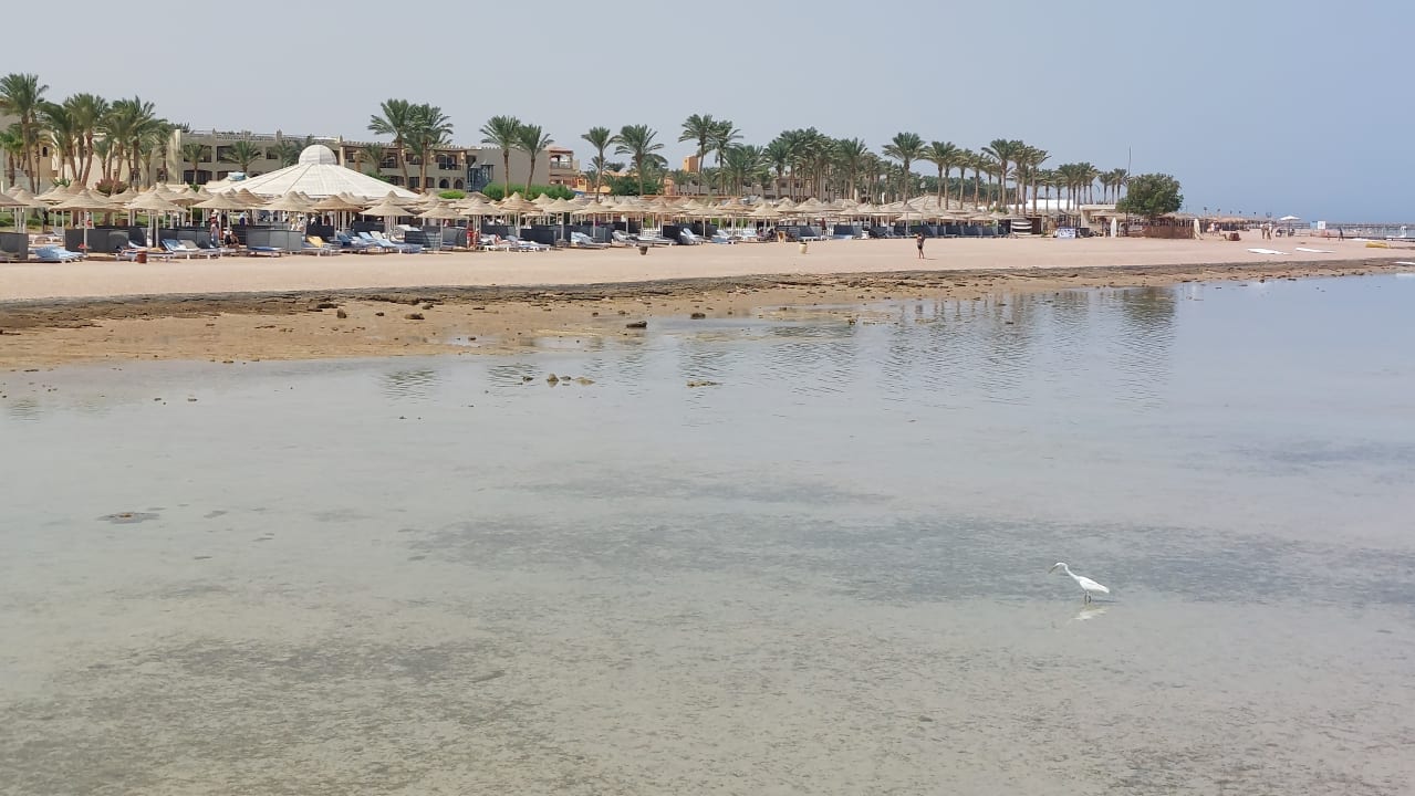 Strand Regency Plaza Aqua Park & Spa