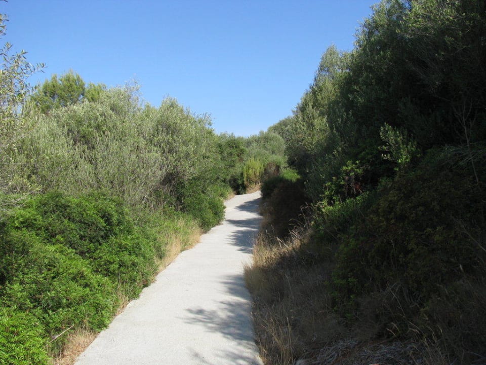 Weg zum Strand Hotel Club Cala Romani