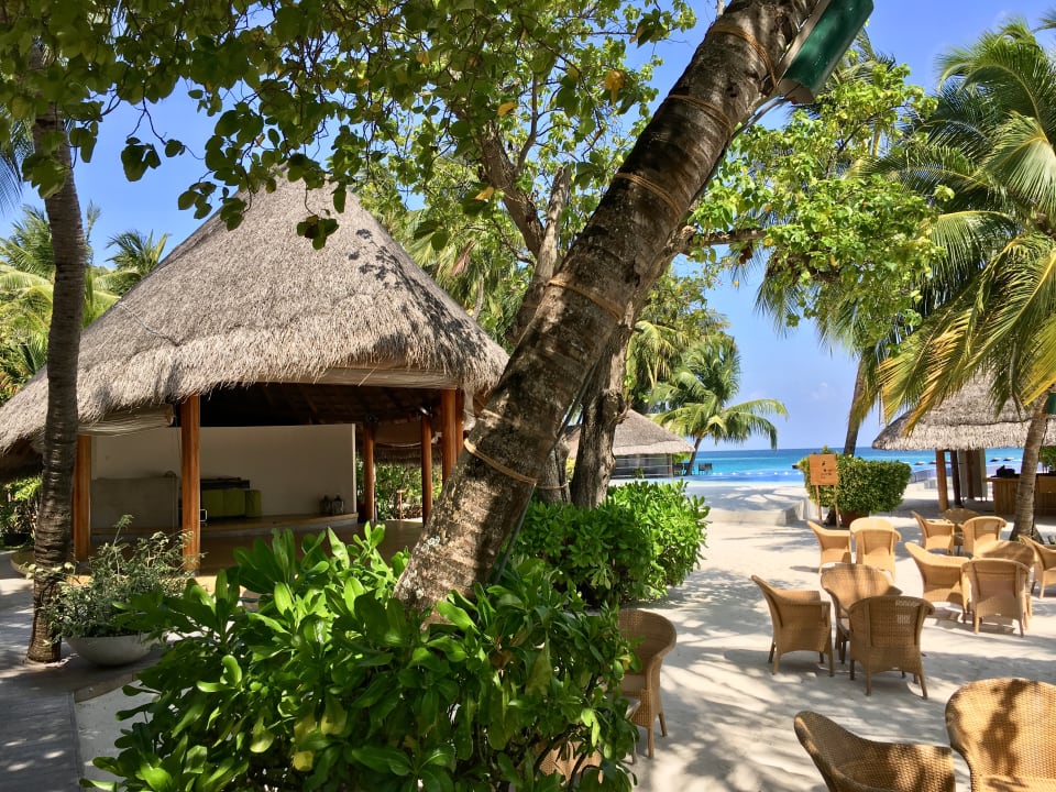 Gastro Kuramathi Maldives