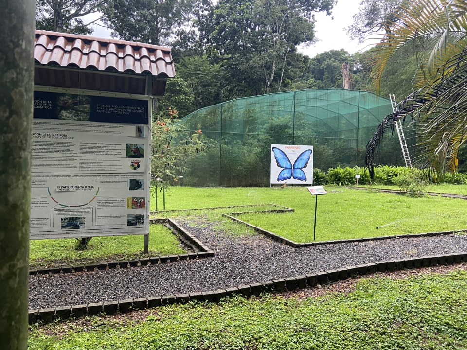 Gartenanlage Hotel & Club Punta Leona