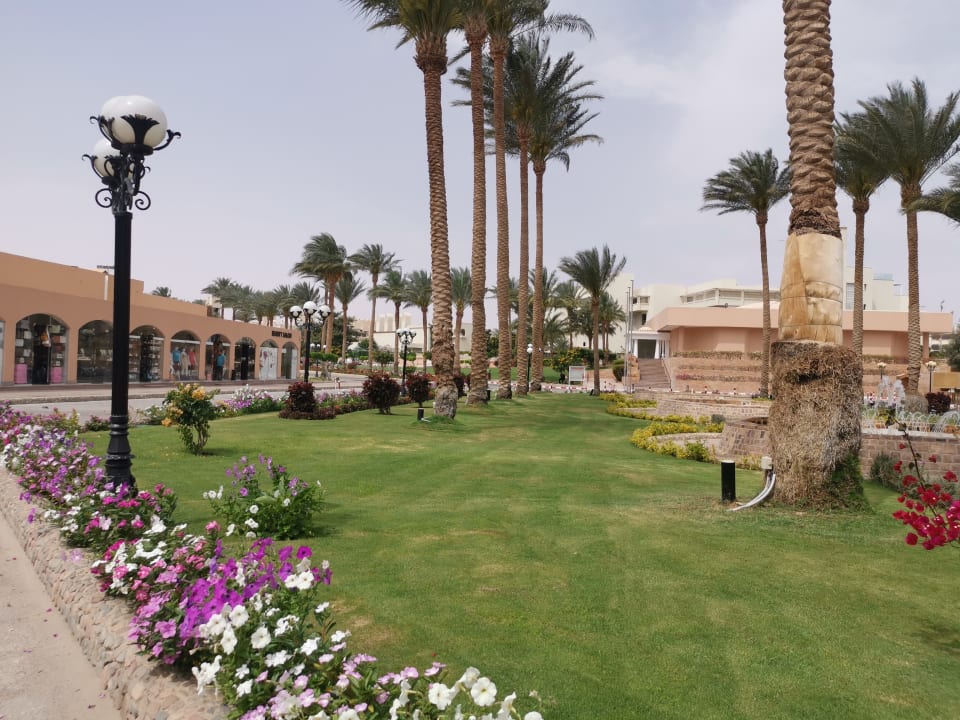 Gartenanlage Continental Hotel Hurghada