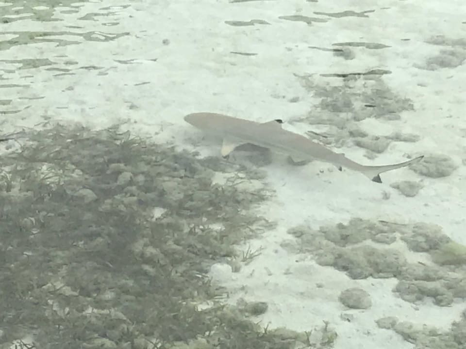 Strand Sun Siyam Olhuveli