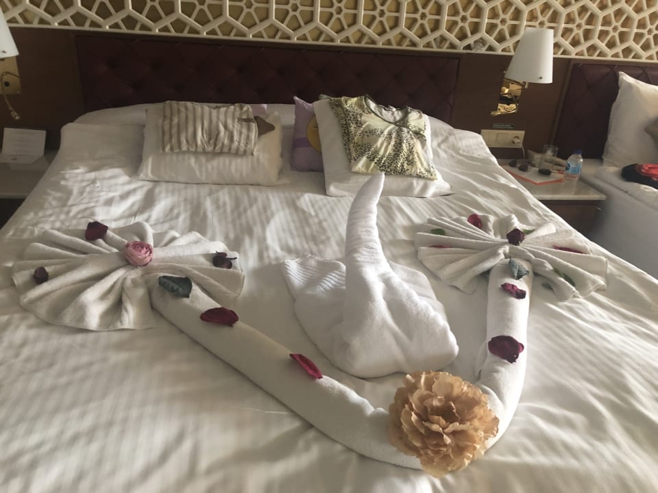Zimmer Royal Taj Mahal Hotel