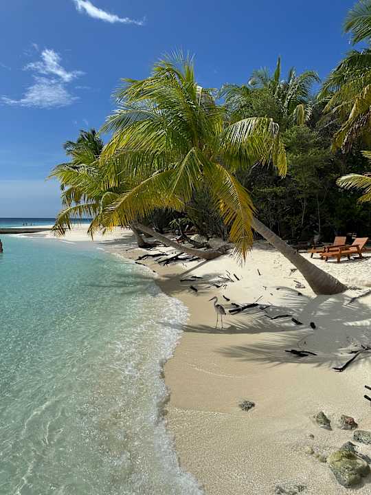 Strand Eri Maldives
