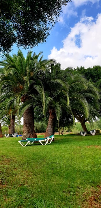 Gartenanlage Hotel Mariant Park