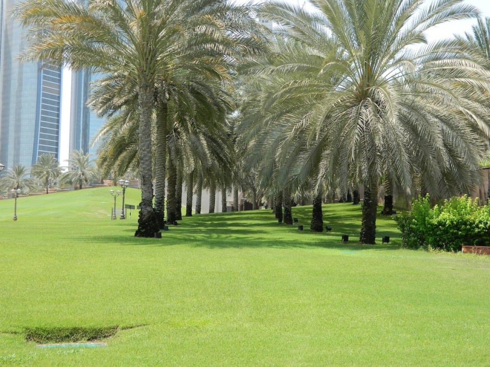 Garten Emirates Palace Mandarin Oriental
