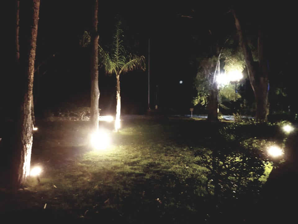 Gartenanlage Apollonia Beach Resort & Spa