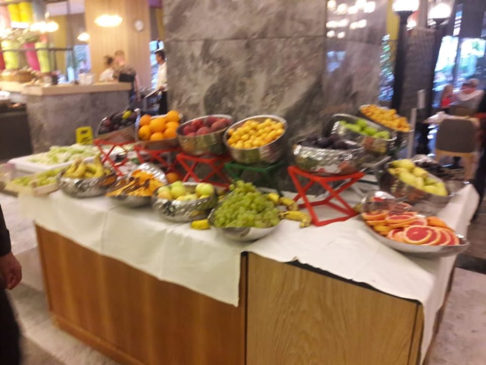 Gastro Seashell Vega