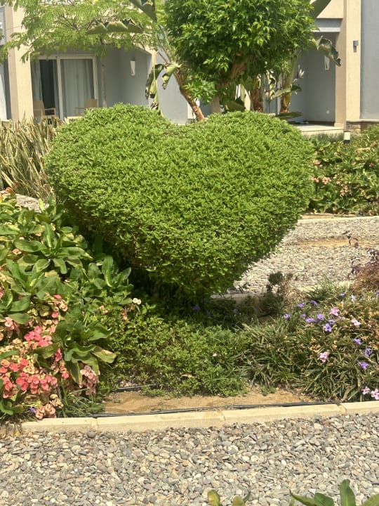 Gartenanlage Lazuli Hotel Marsa Alam