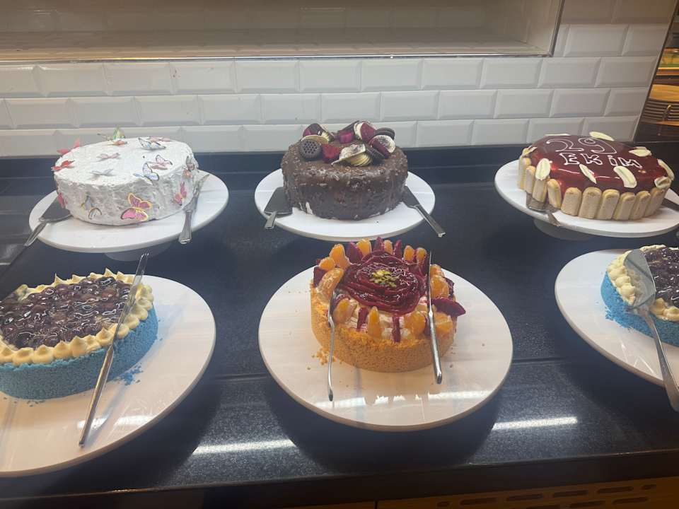 Gastro Seashell Vega