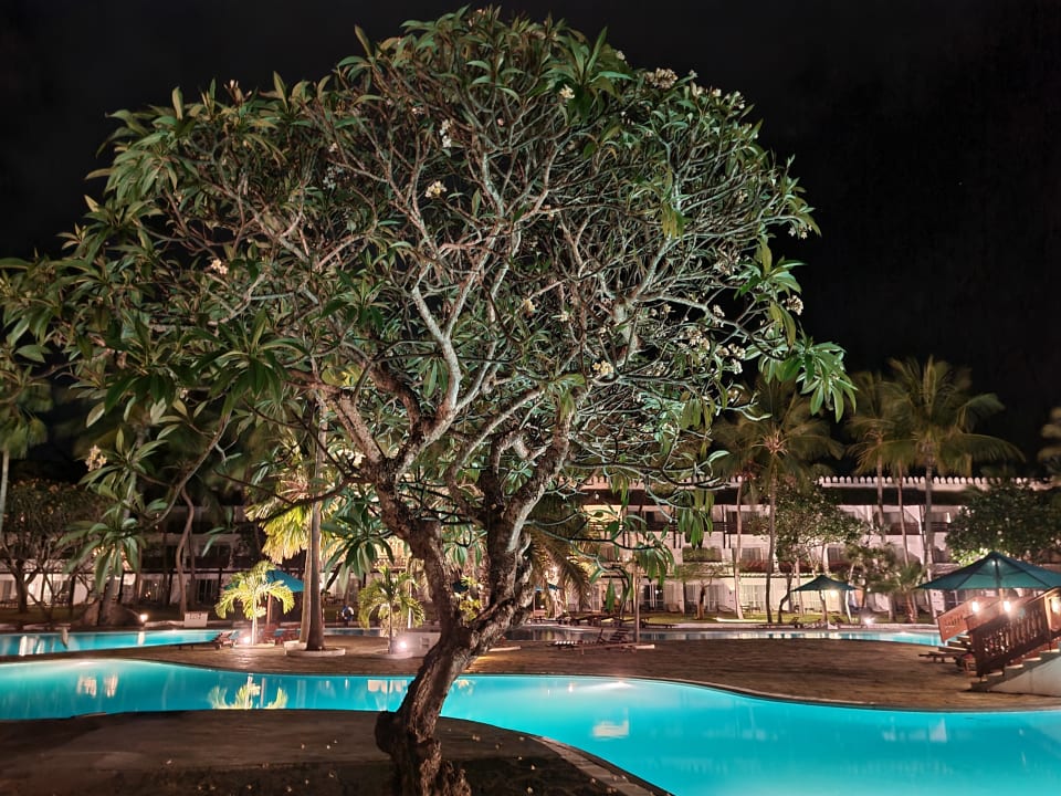 Pool Hotel Southern Palms Beach Resort