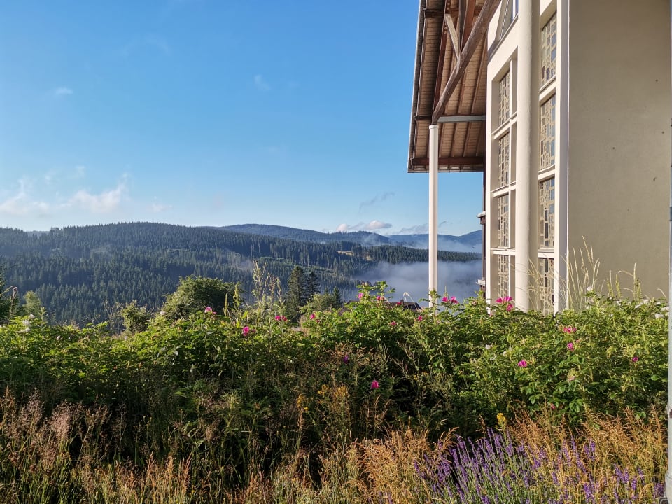 Ausblick Haus Feldberg-Falkau