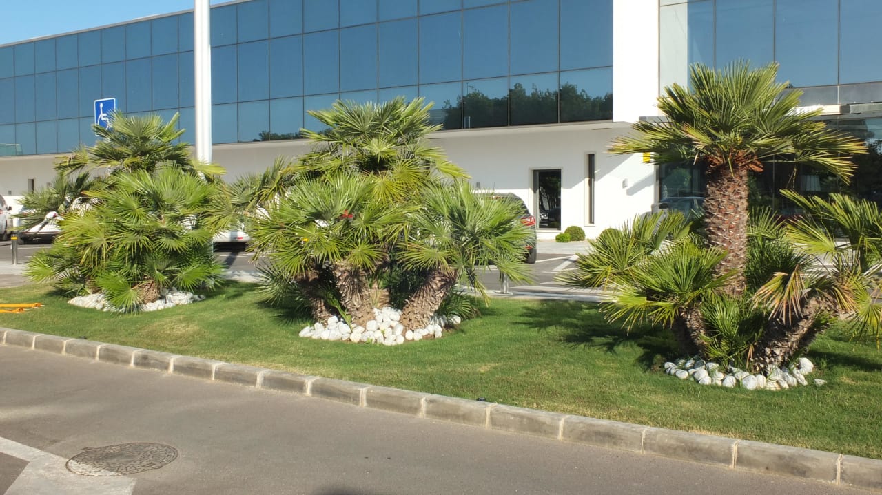 Bepflanzung Hipotels Gran Conil Hotel
